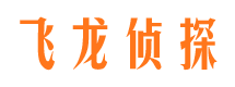 北屯镇侦探